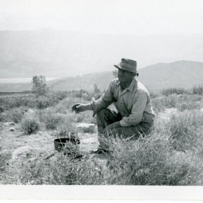 Print, Photographic