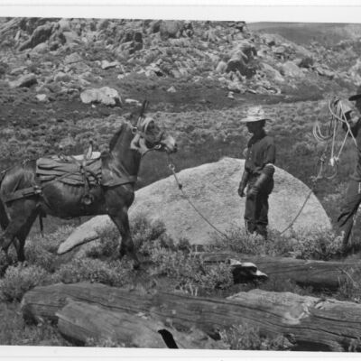 Print, Photographic