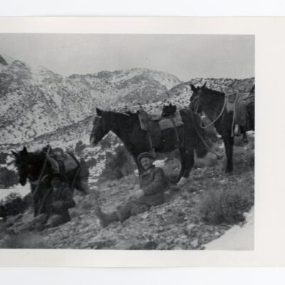 Print, Photographic
