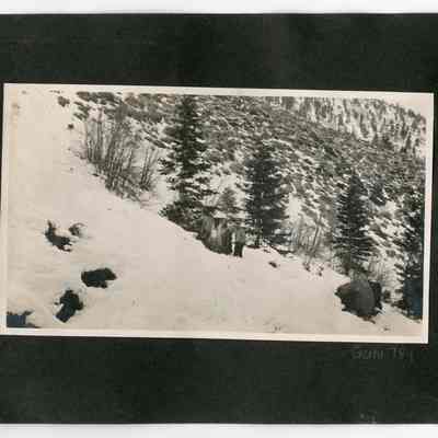 Print, Photographic