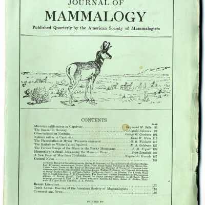 Journal of Mammalogy, Vol. 9, No. 2, May 1928