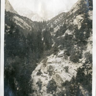 Print, Photographic