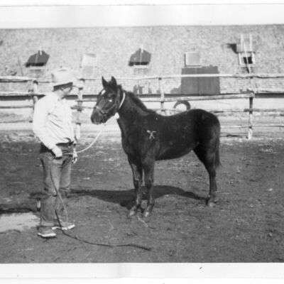 Print, Photographic