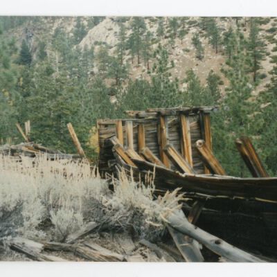 Print, Photographic