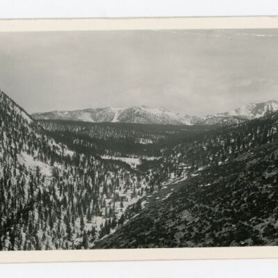 Print, Photographic