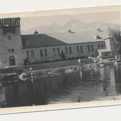 Print, Photographic