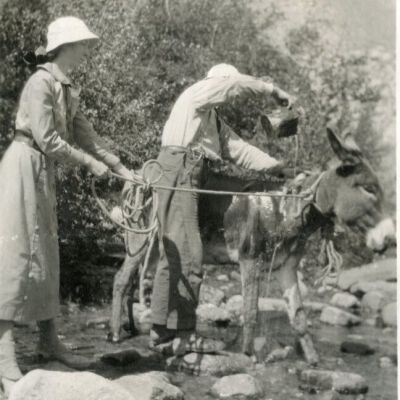 Print, Photographic