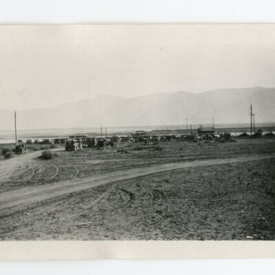 Print, Photographic
