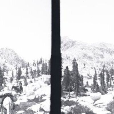 Negative
