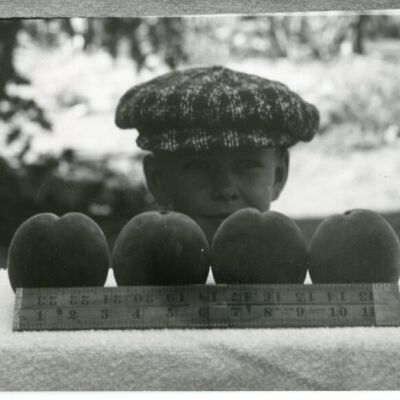 Print, Photographic