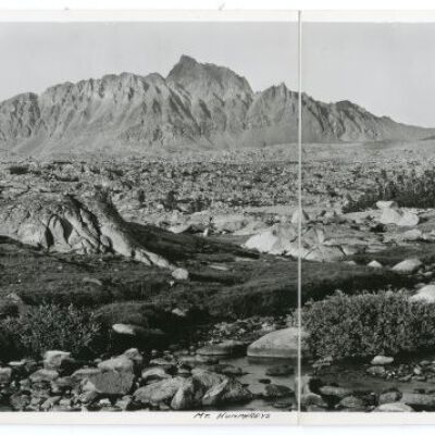 Print, Photographic