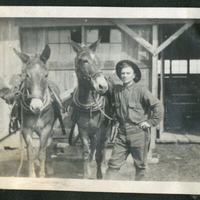 Print, Photographic