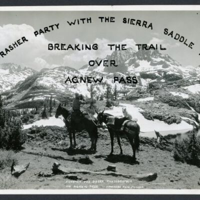 Print, Photographic