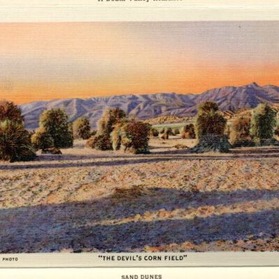 The Devil's Corn Field