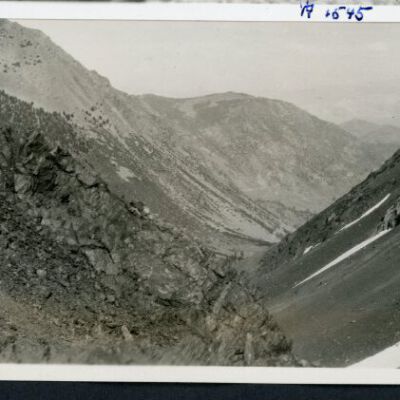 Print, Photographic