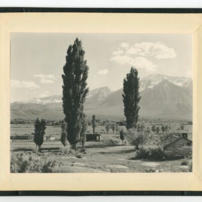 Print, Photographic