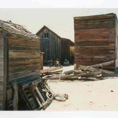 Print, Photographic