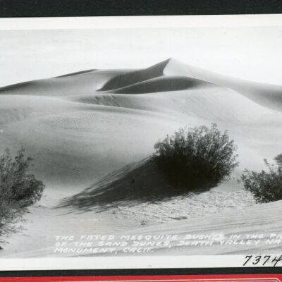 Print, Photographic