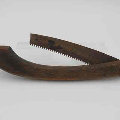 Saw, Pruning