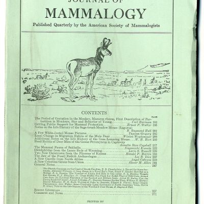 Journal of Mammalogy, Vol. 9, No. 3, August 1928