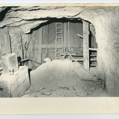 Print, Photographic
