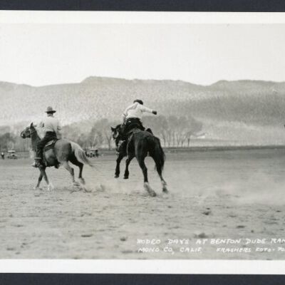 Print, Photographic