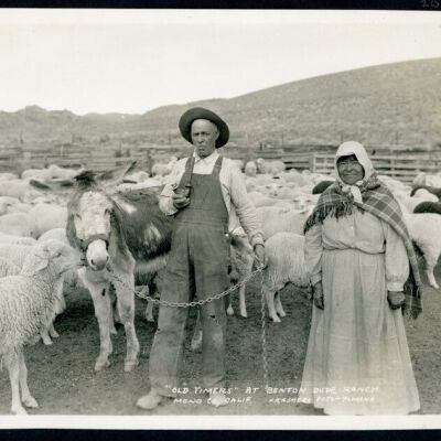 Print, Photographic
