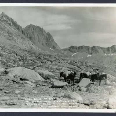 Print, Photographic