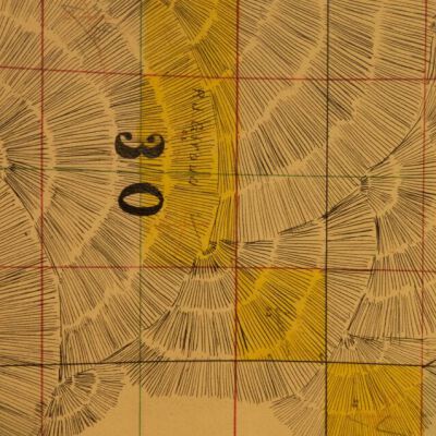 Map Export (57 Of 862)