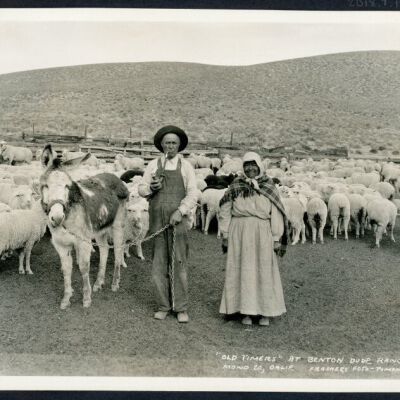 Print, Photographic