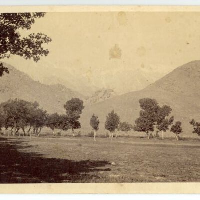 Print, Photographic
