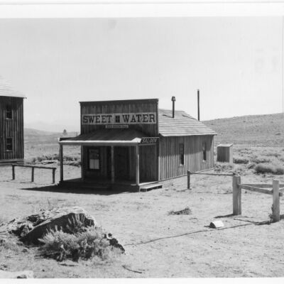 Print, Photographic
