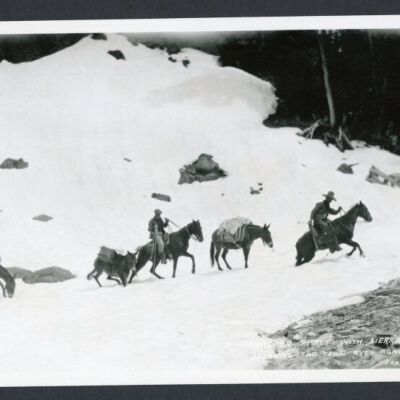 Print, Photographic