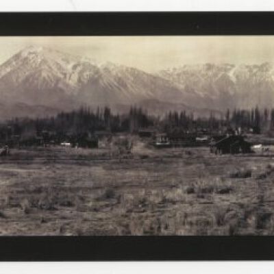 Print, Photographic