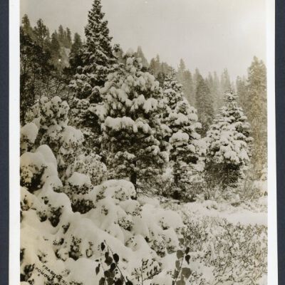 Print, Photographic