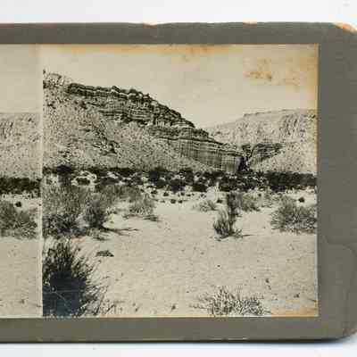 Stereograph