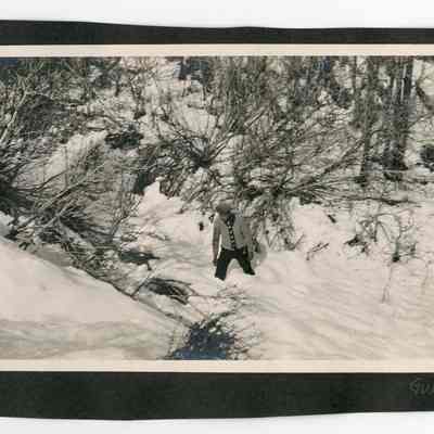 Print, Photographic