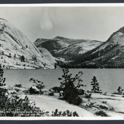 Print, Photographic