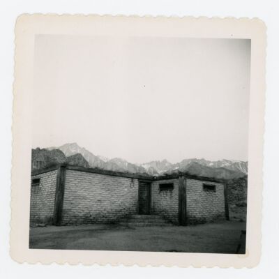 Print, Photographic