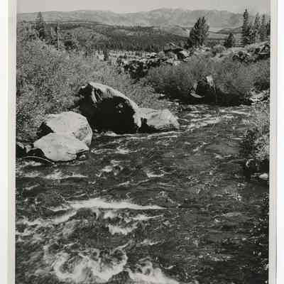 Print, Photographic
