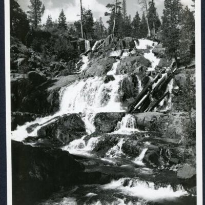 Print, Photographic