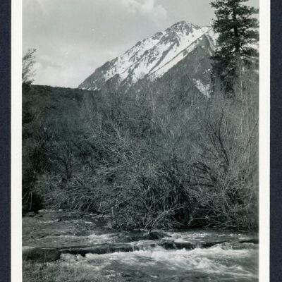 Print, Photographic