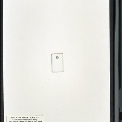 Resolution: 100 dpi
