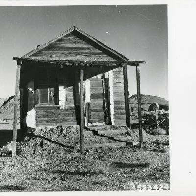 Print, Photographic