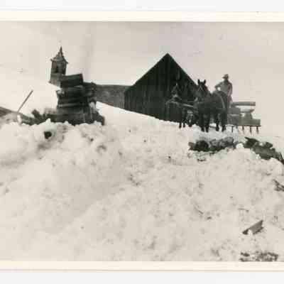 Print, Photographic