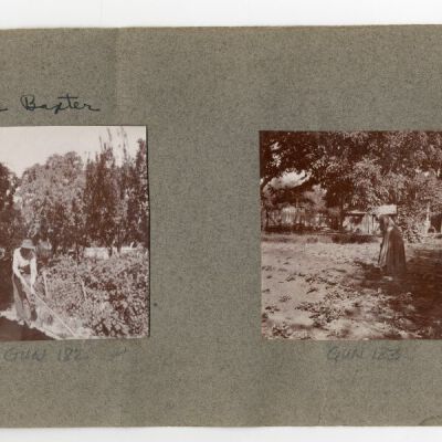 Print, Photographic