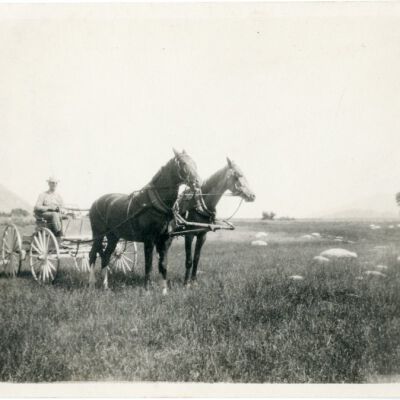 Print, Photographic