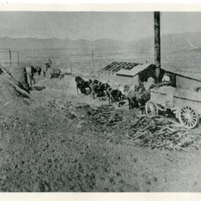 Print, Photographic