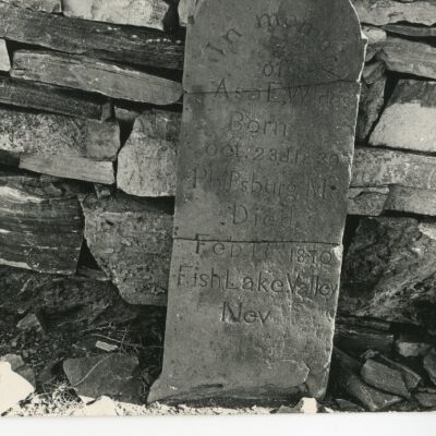 Print, Photographic