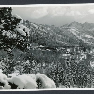 Print, Photographic
